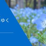 切手はどこへゆく【第十九話】